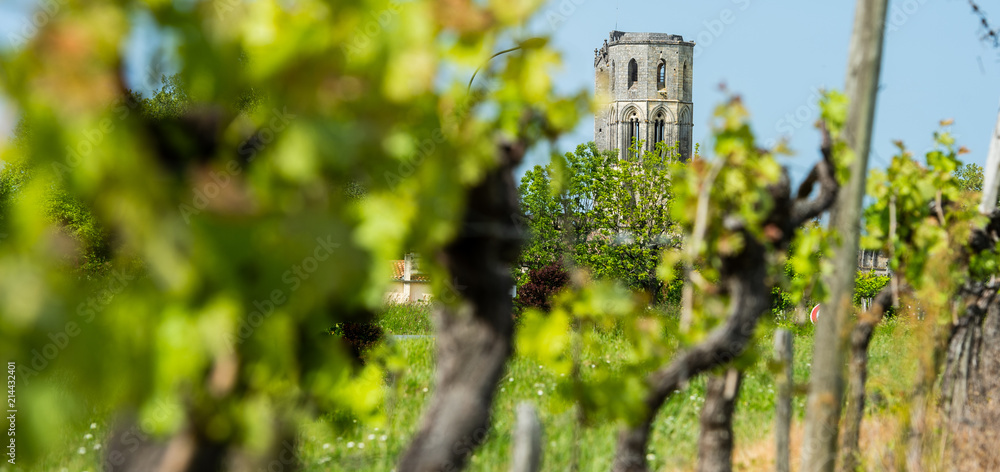 Fototapeta premium Abbey de la Sauve-Majeure, Route to Santiago de Compostela, Gironde, UNESCO