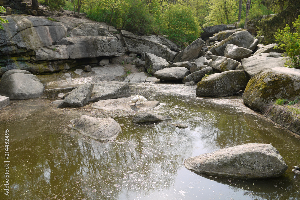 Partially dried up forest brook between large stones. On one of them there are two white birds Partially dried up forest brook between large stones. On one of them there are two white birds