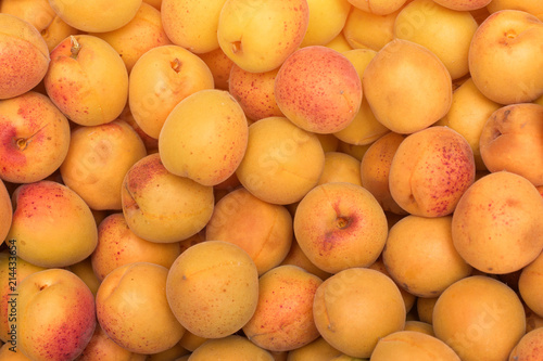 Background of ripe apricot. Close up