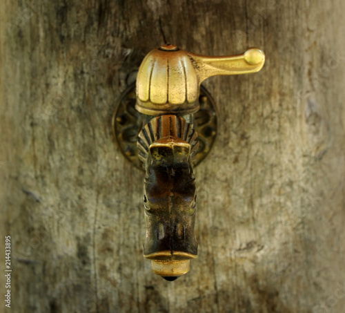 A golden tap in Slovakia village near castle Strecno