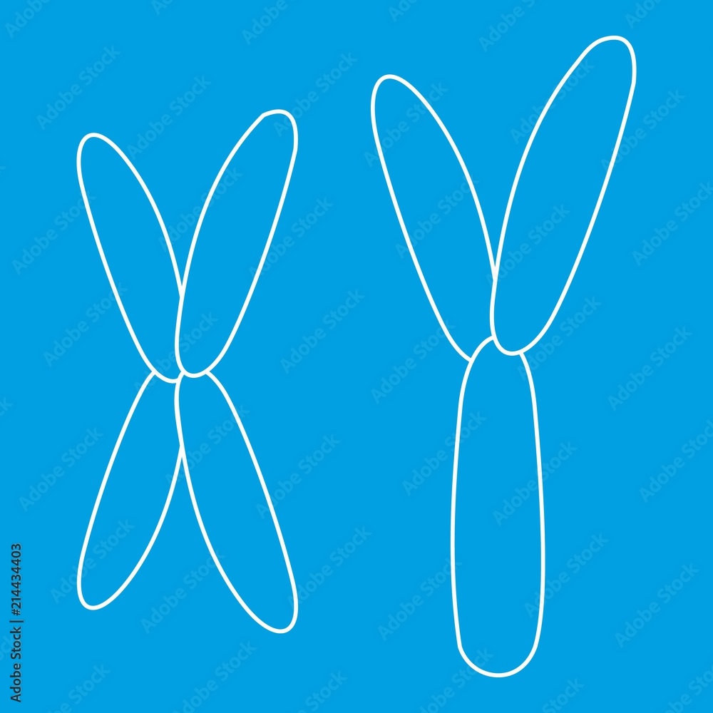 X and Y chromosome icon blue outline style isolated vector illustration. Thin line sign