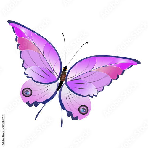 Wallpaper Mural 1952 Torontodigital.ca