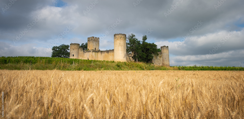 Chateau de Budos and wheat field in summer , Bordeaux, Gironde Chateau de Budos and wheat field in summer , Bordeaux, Gironde