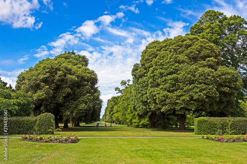 Landscape of trees in formal garden