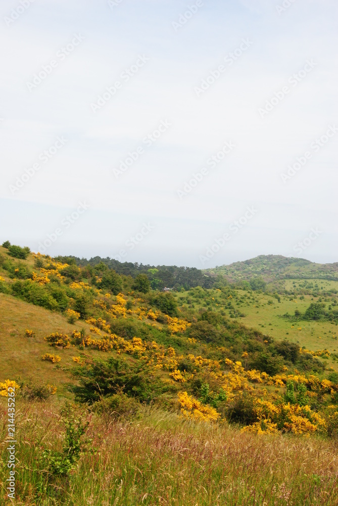 Hiddensee Hiddensee