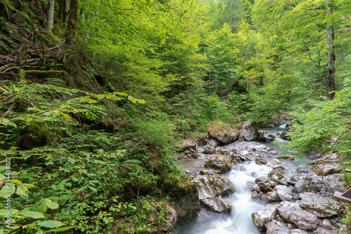 Seisenbergklamm