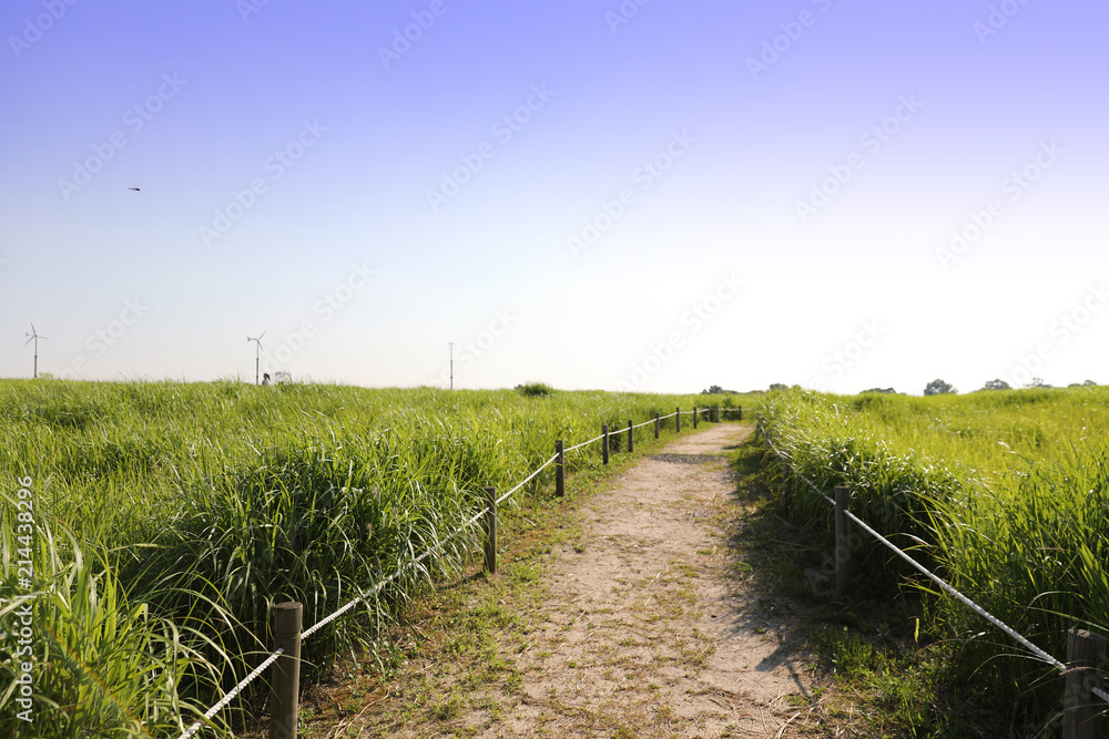 An image of nature consisting of blue sky and fields