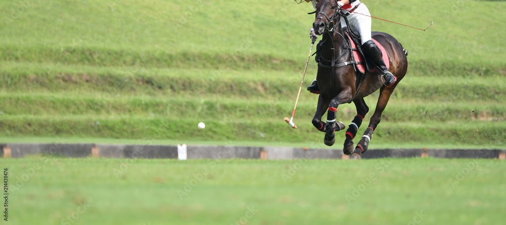 orse polo player use a mallet hit ball in tournament.