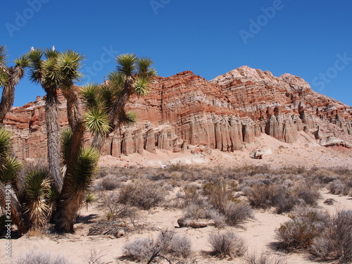 Red Rock Canyon photo