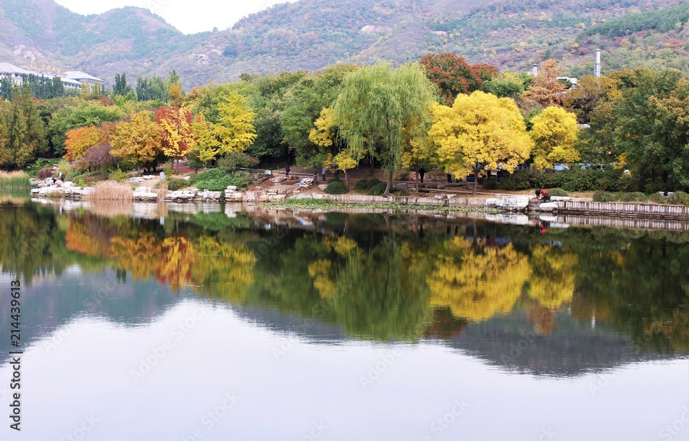 Fall mirror Fall mirror