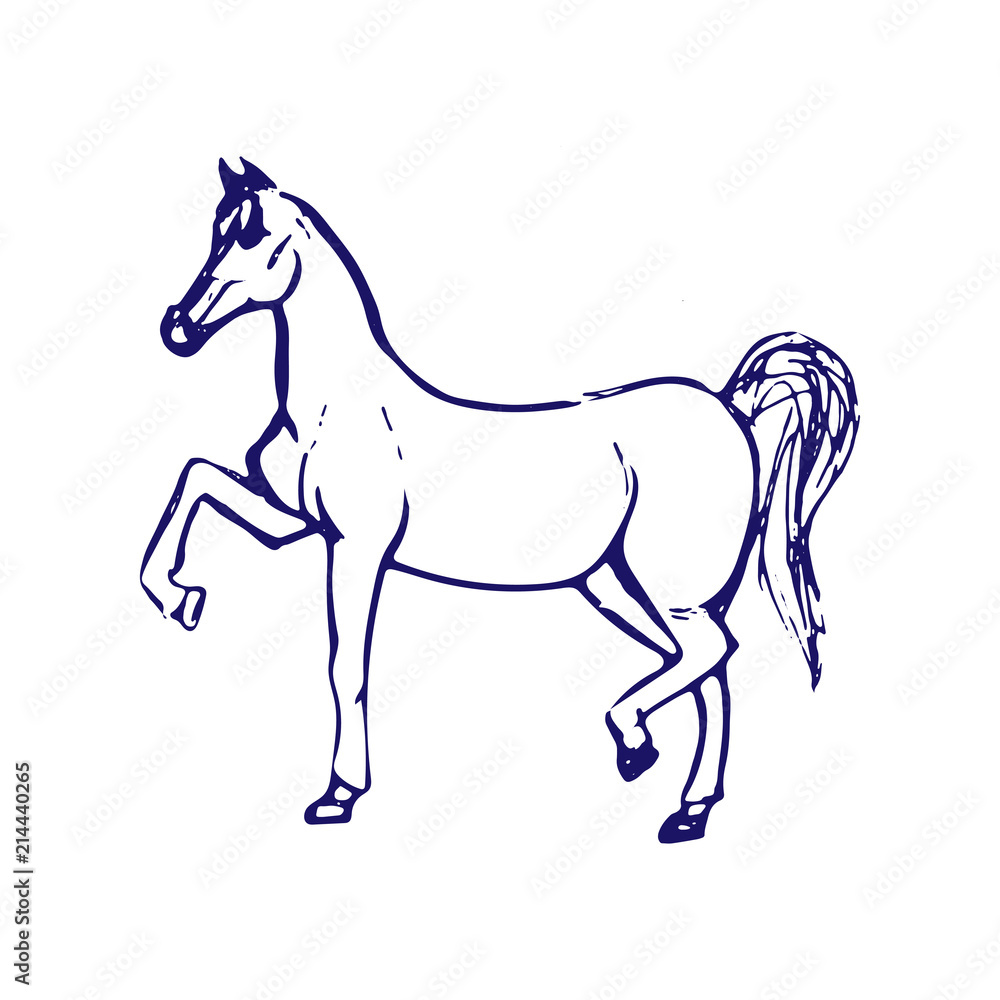 Hand drawn sketch of horse. Blue ink line drawing isolated on white background. Vector animal illustration. Hand drawn sketch of horse. Blue ink line drawing isolated on white background. Vector animal illustration.