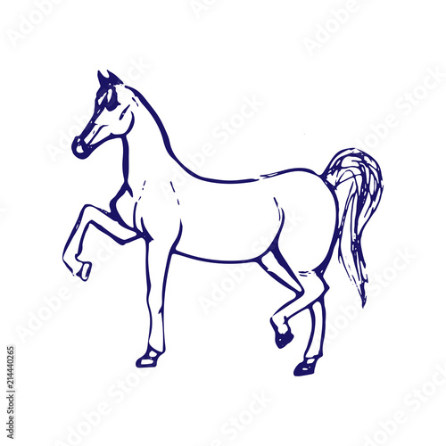 Hand drawn sketch of horse. Blue ink line drawing isolated on white background. Vector animal illustration.