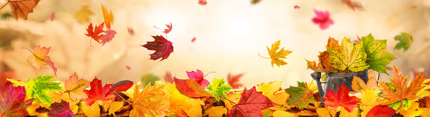 Indian Summer Background