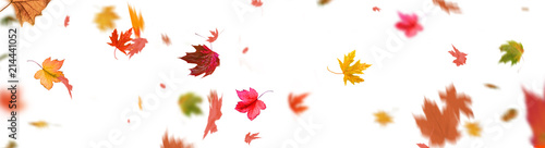 Herbstblätter