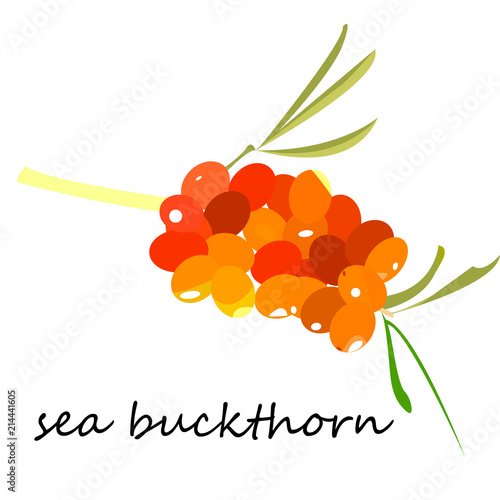 Sea buckthorn