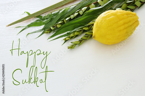 Jewish festival of Sukkot. Traditional symbols (The four species): Etrog, lulav, hadas, arava. photo