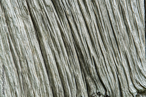 Hintergrund - Textur von verwittertem Holz
