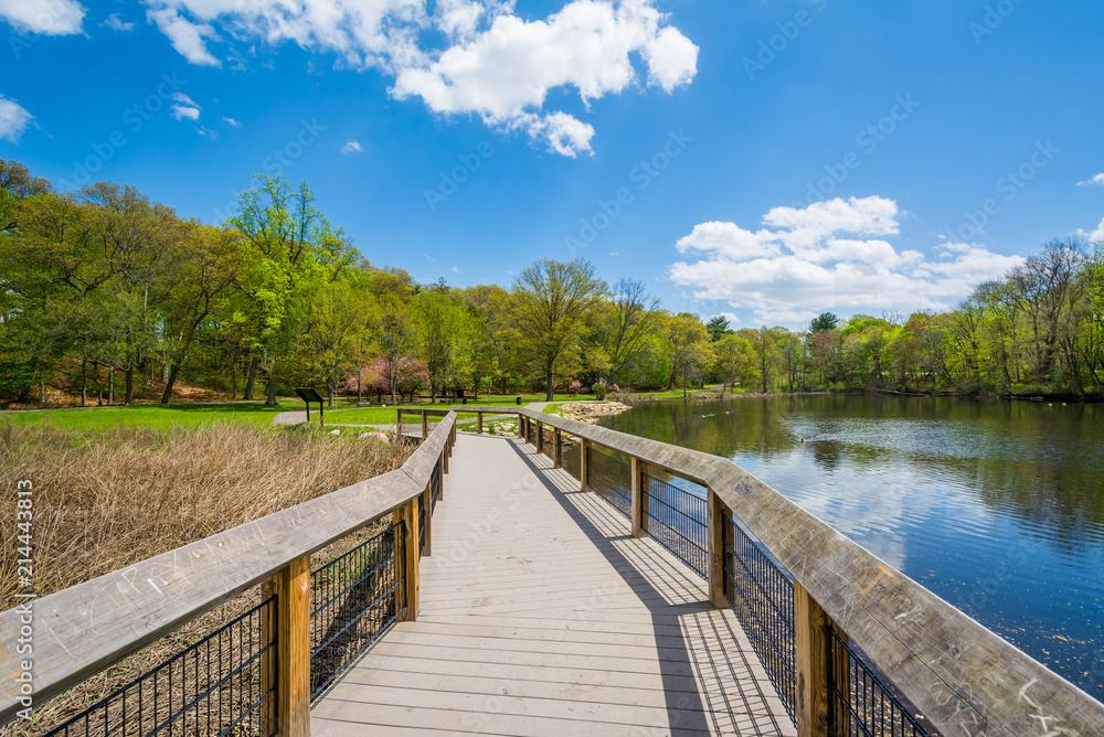 Boardwalk at the Duck Pond at Edgewood Park in New Haven, Connecticut