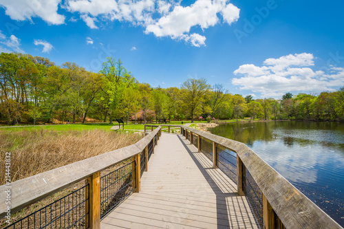 Boardwalk at the Duck Pond at Edgewood Park in New Haven  Connecticut