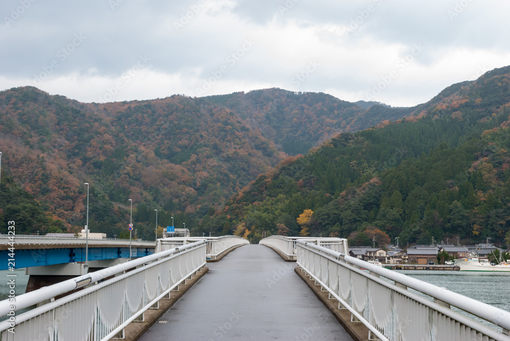 Bridge and Mountain in autumn background