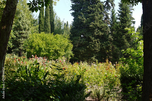 A beautiful flowerbed with high flowers growing in a park among green bushes and lush trees under the rays of a hot summer sun.