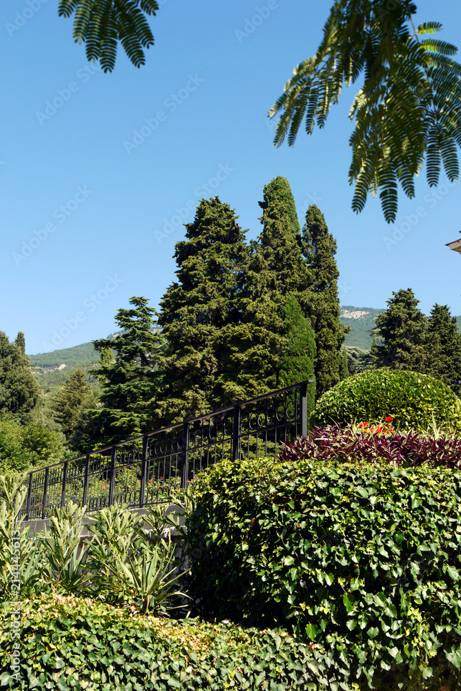 A metal fence painted black in the midst of lush green bushes of grass growing in the park.