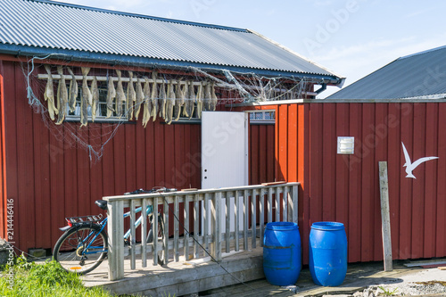 Red painted house blue waterdrums bicycle and drying stockfish in northern Norway photo