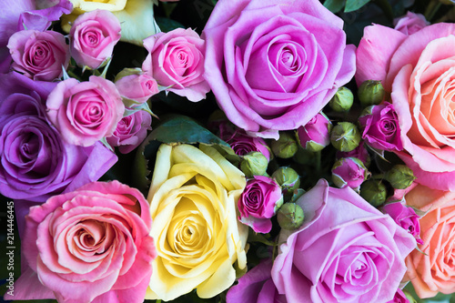 Background of bright roses blurred. A bouquet of delicate yellow  lilac  pink roses background blurred. Gift  congratulations on the wedding  St. Valentin s Day  Mother s Day