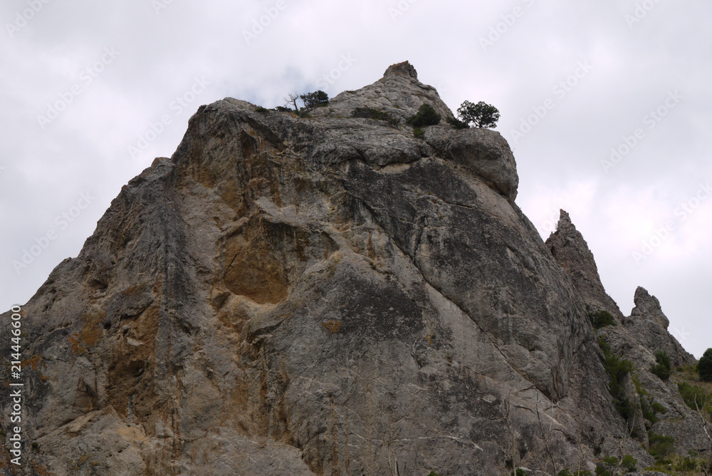 The top of a rocky mountain with several green trees against a cloudy sky background The top of a rocky mountain with several green trees against a cloudy sky background
