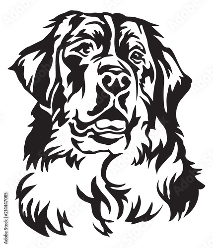 Decorative portrait of Bernese Mountain Dog vector illustration
