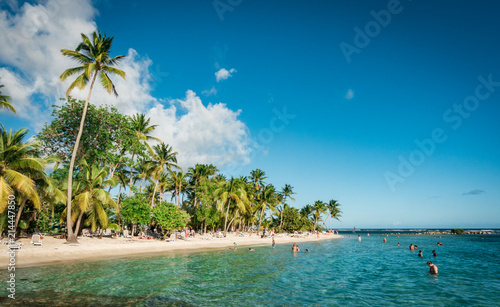 Fototapeta Naklejka Na Ścianę i Meble -  Strand auf Guadeloupe