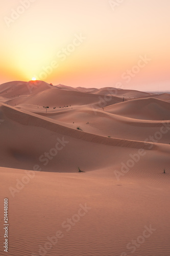 W  ste   Desert - Abu Dhabi
