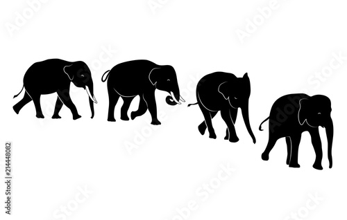 Set of silhouette walking elephant. Vector illustration isolated on white background.