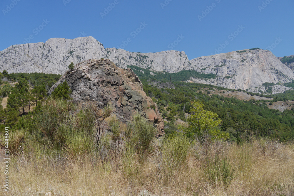 Large wide rock surrounded by bushes on the background of high steep mountains