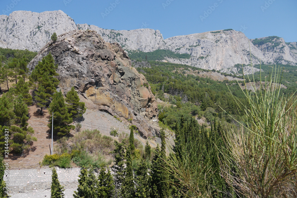 steep tall cliffs on the background of a blue sky surrounded by dense forest