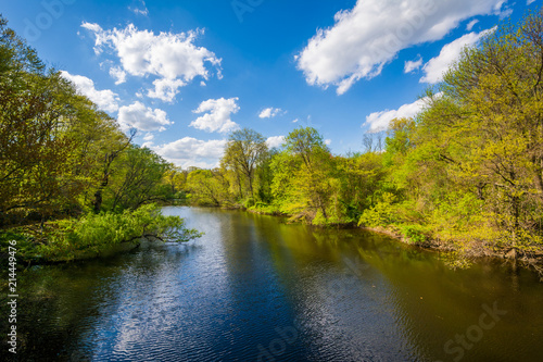 The Mill River, in New Haven, Connecticut.