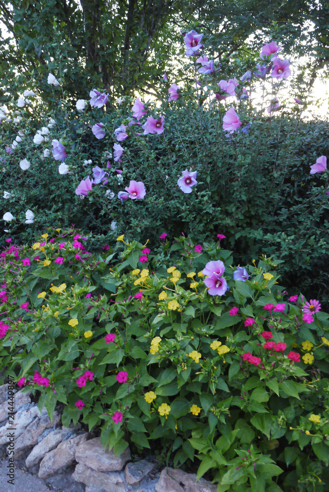 large flowerbed with yellow, red and pink flowers on the background of small green trees