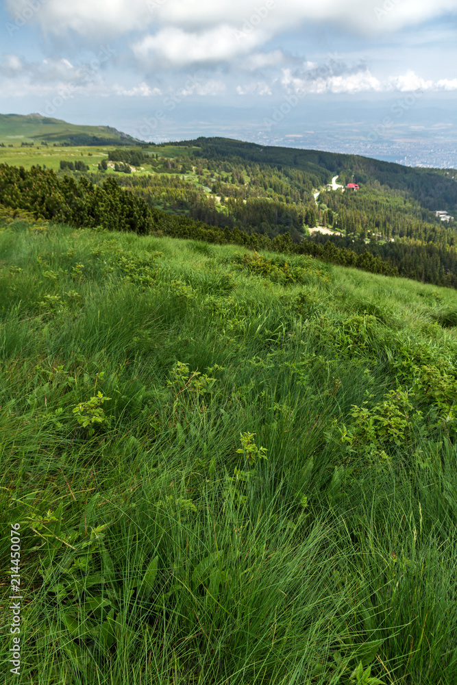 Panorama with green hills at Vitosha Mountain, Sofia City Region, Bulgaria Panorama with green hills at Vitosha Mountain, Sofia City Region, Bulgaria