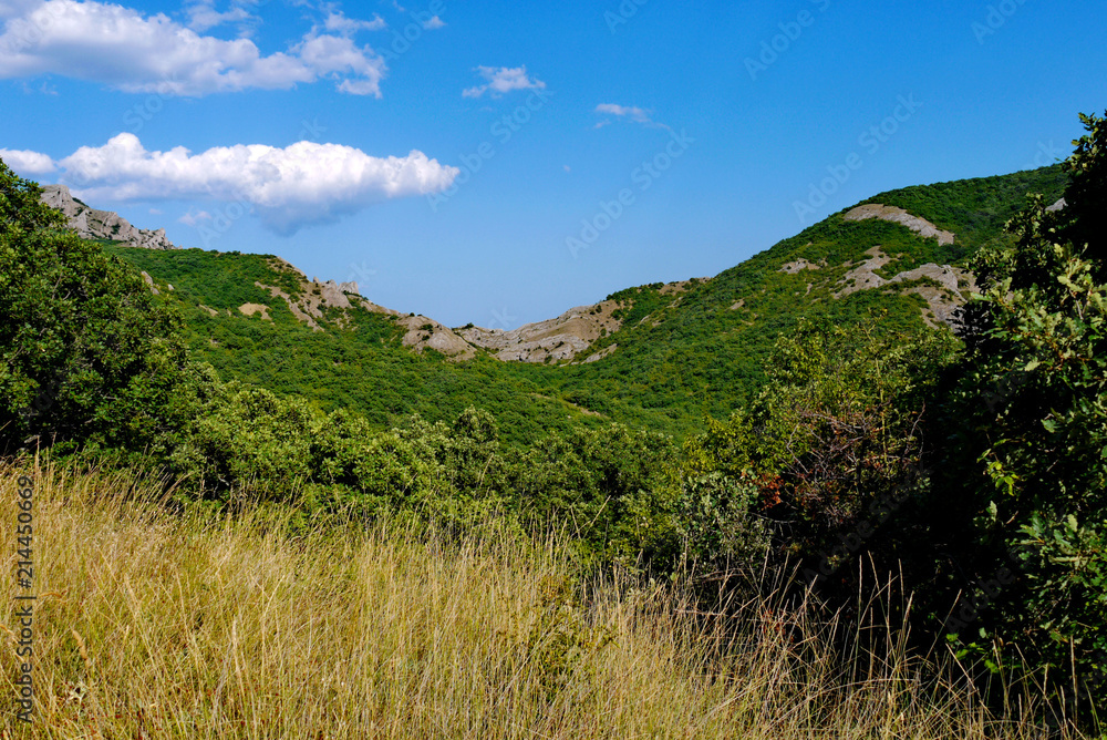 Naklejka premium wide green bushes on the background of grass-covered mountains under the blue sky