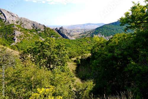 wide green bushes on the background of grass-covered mountains under the blue sky © adamchuk_leo