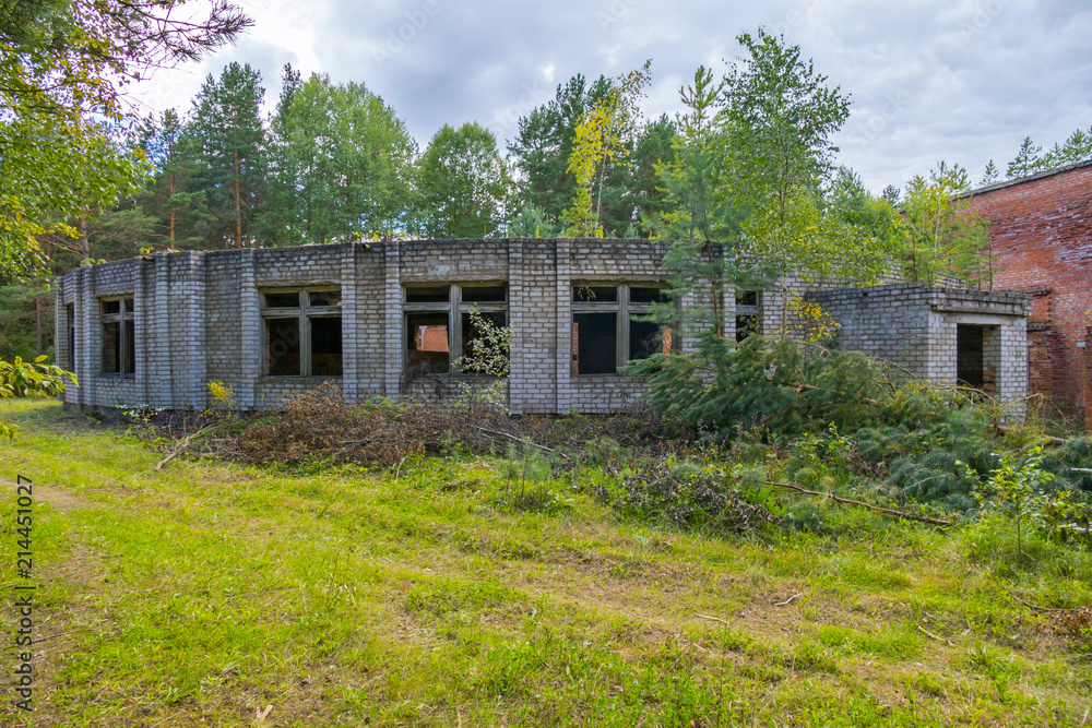 a small abandoned building in the middle of a forest glade surrounded by dense forest