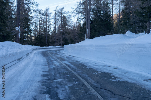 Road through the winter forest