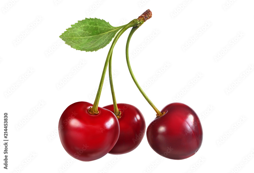 Cherry branch with berry and leaf isolated on white Cherry branch with berry and leaf isolated on white