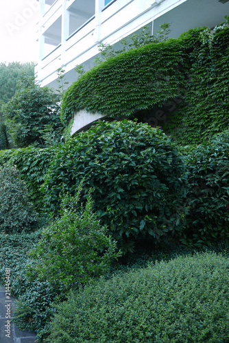 Photos Gently trimmed green bushes against the white balcony of the sanatorium complex