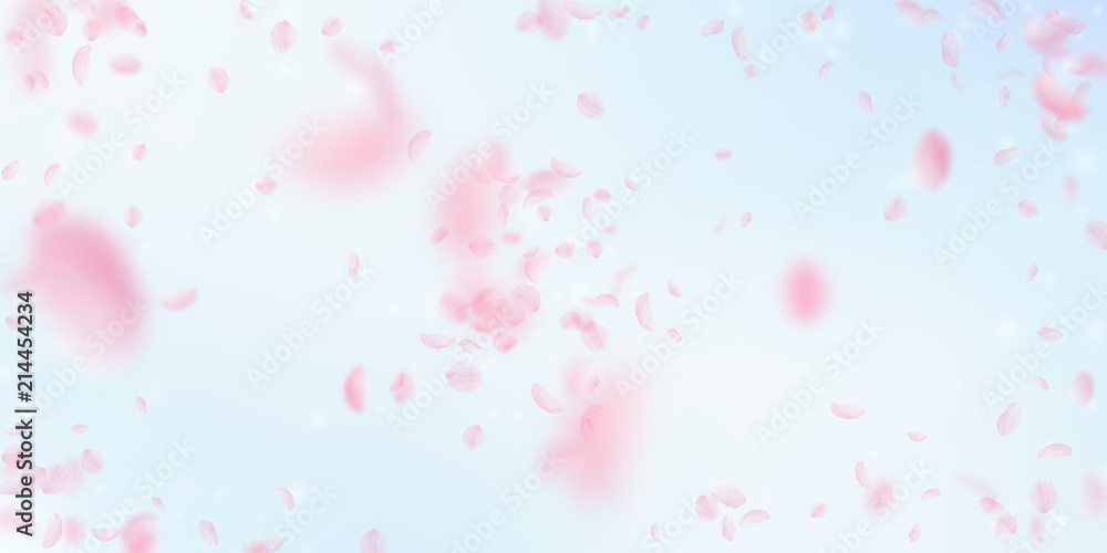Sakura petals falling down. Romantic pink flowers explosion. Flying petals on blue sky wide background. 