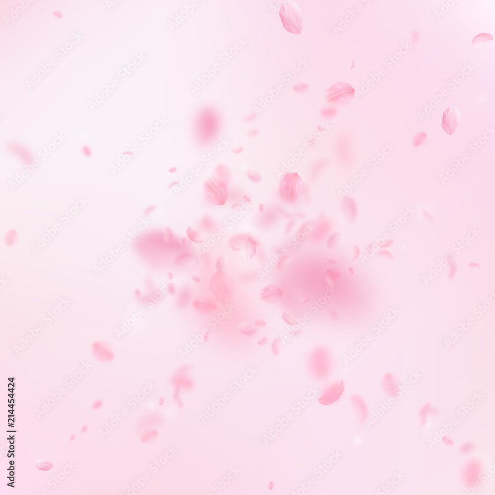Sakura petals falling down. Romantic pink flowers explosion. Flying petals on pink square background. 