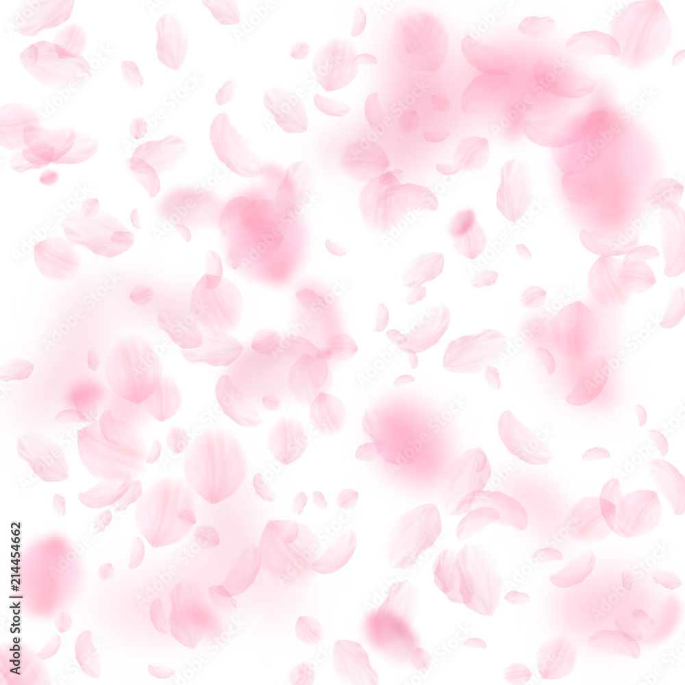 Sakura petals falling down. Romantic pink flowers falling rain. Flying petals on white square background. 