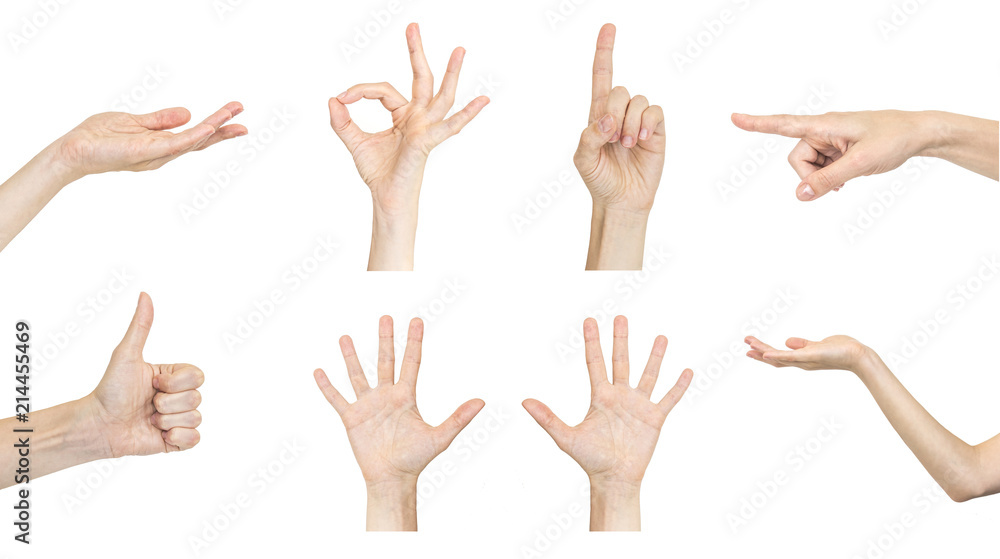 Set of woman's hand gestures isolated on white background. Set of woman's hand gestures isolated on white background.
