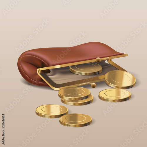 Wallet with golden coins vector illustration.