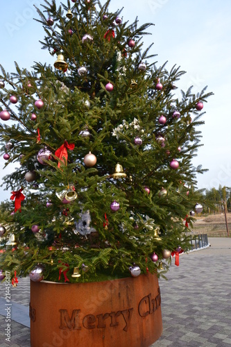 Fototapeta Naklejka Na Ścianę i Meble -  公園にあるクリスマスツリー
